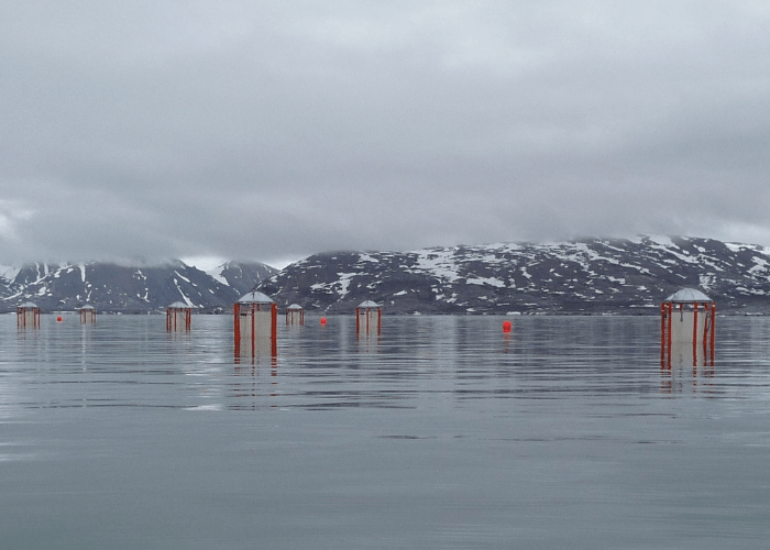Mesokosmen vor Spitzbergen